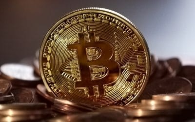 Gowling WLG launches new blockchain education and reward initiative