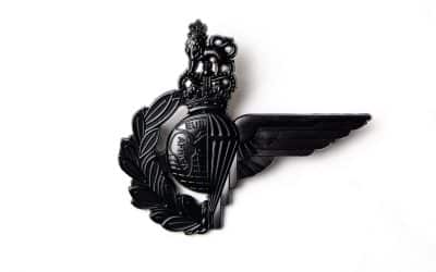 Badge unites the Royal Marines and Parachute Regiment