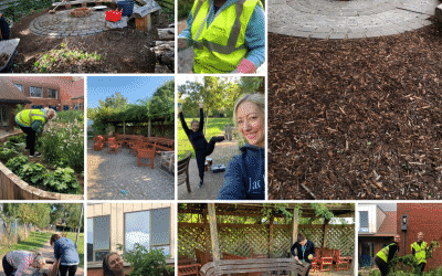 From ISO Specialist to Hospice Helpers