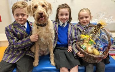 Harvest Festival to support Stourbridge Age Concern and Kidderminster Food Bank