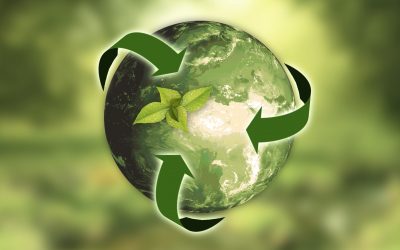 Are you a Wychavon based business concerned about climate change?