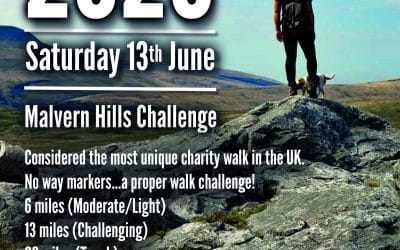 The Walk Challenge 2020