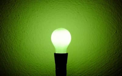 Grants and support available to help local businesses go green for 2021
