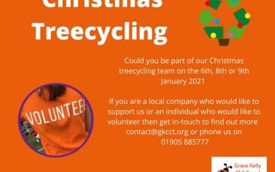 Christmas Recycling with Grace Kelly Ladybird