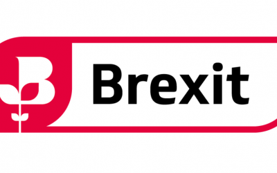 BCC Brexit survey: Half of UK exporters report difficulties adapting to changes relating to EU-UK goods trade