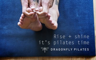 Dragonfly Pilates – Posture Perfect – Online Pilates in the Workplace.