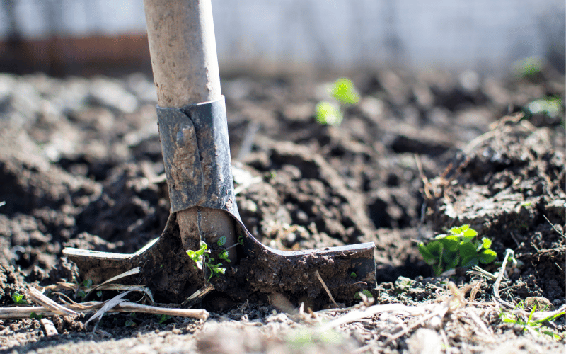 Farming Investment Fund