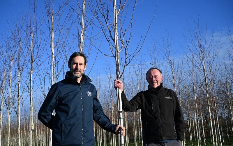 Wyevale Nurseries helps charity fundraise with tree planting scheme