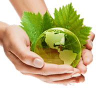 Enigma & Spring Lane Sustainability Forum