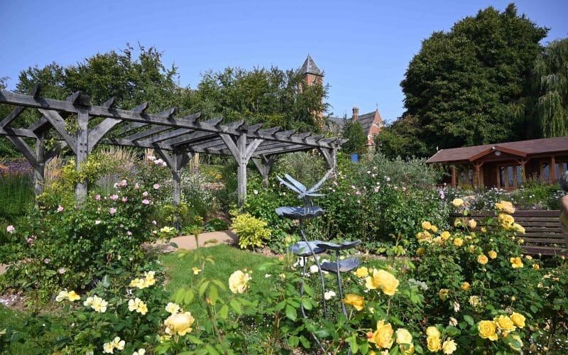 Recognition for volunteer team behind St Michael’s Hospice garden