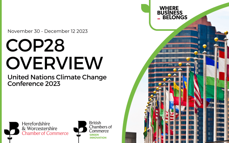 COP28: An Overview