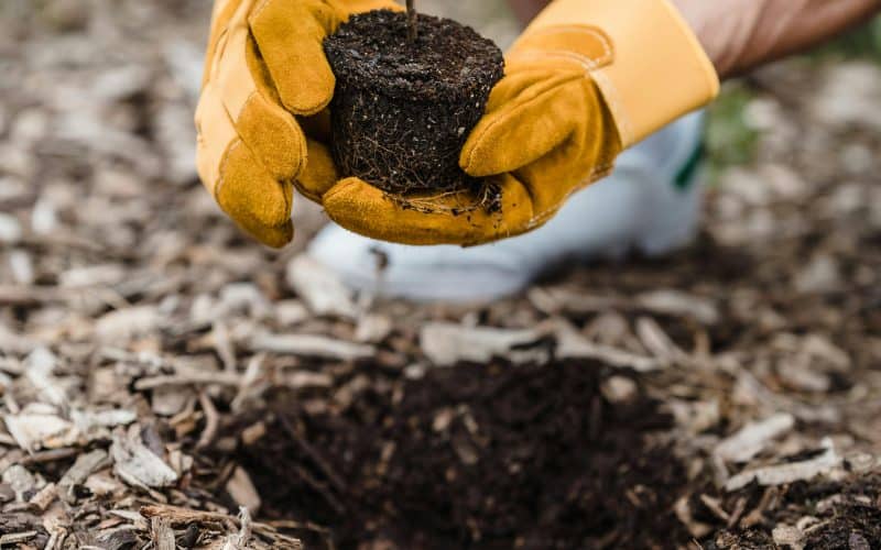 Planting new churches and faith communities – with Simeon Chapman