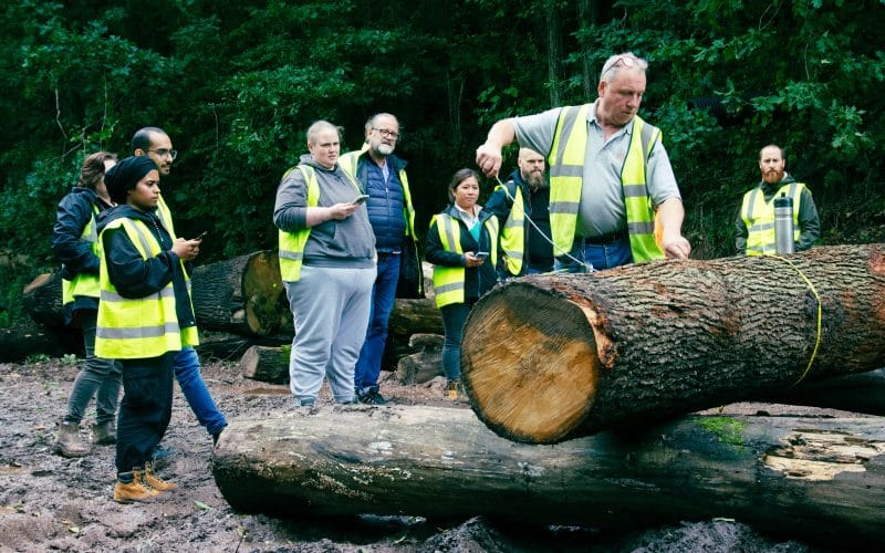 NMITE Re-engineers Timber Courses for Targeted Learning: Making Sustainable Construction Education more accessible