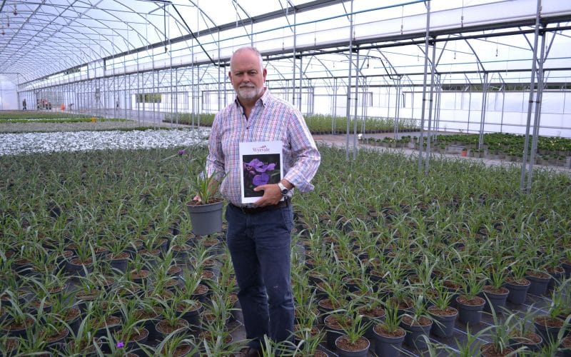 Wyevale Nurseries new look 2025 catalogue launches with 14 new introductions