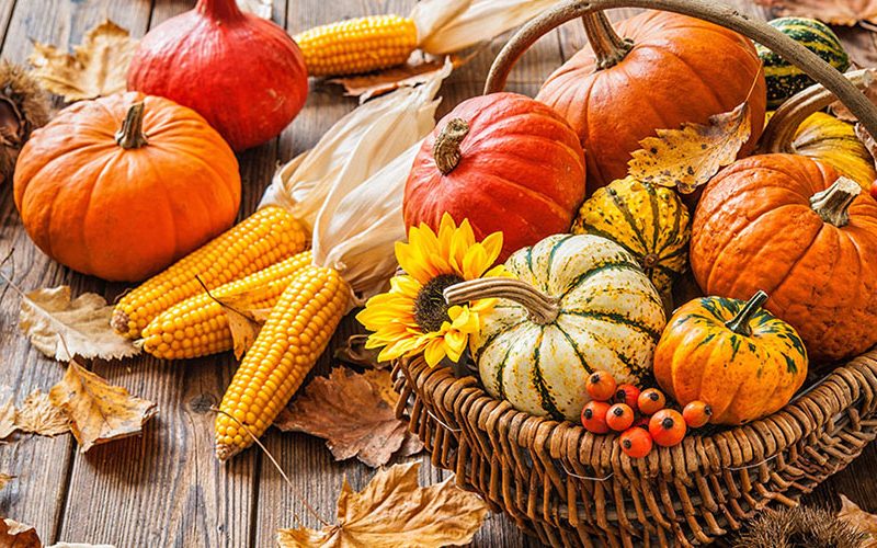 Worcestershire Care Home Celebrates Harvest Festival with MacMillan Coffee Morning and Community Donations