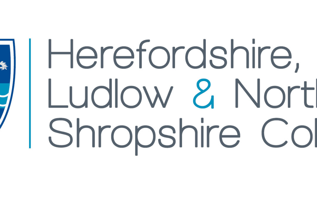 Could you host a T Level industry placement?