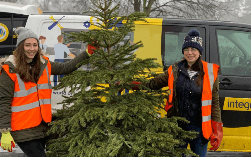 Recycle Your Christmas Tree with the Grace Kelly Childhood Cancer Trust